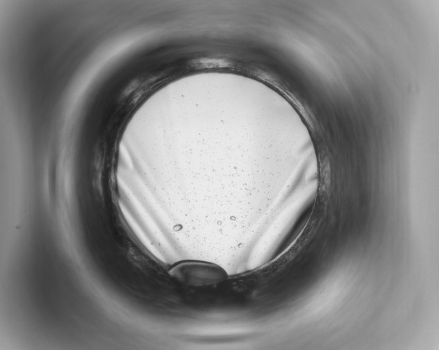 X0000100911151200807220945