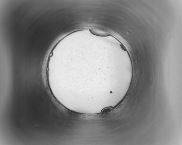 X0000100911152200807220945