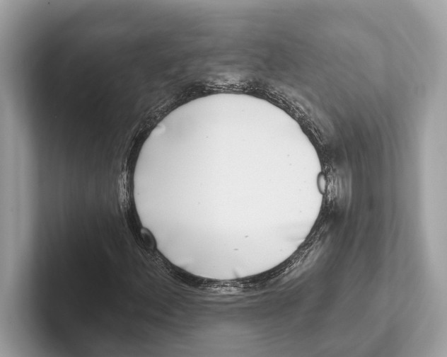 X0000100911156200807220945