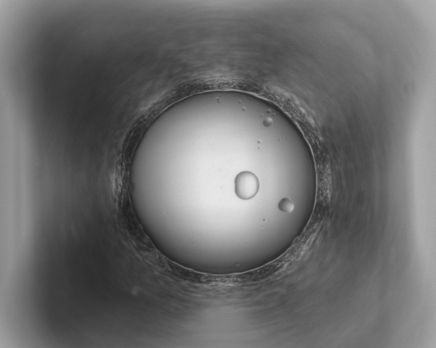 X0000100911157200807220945