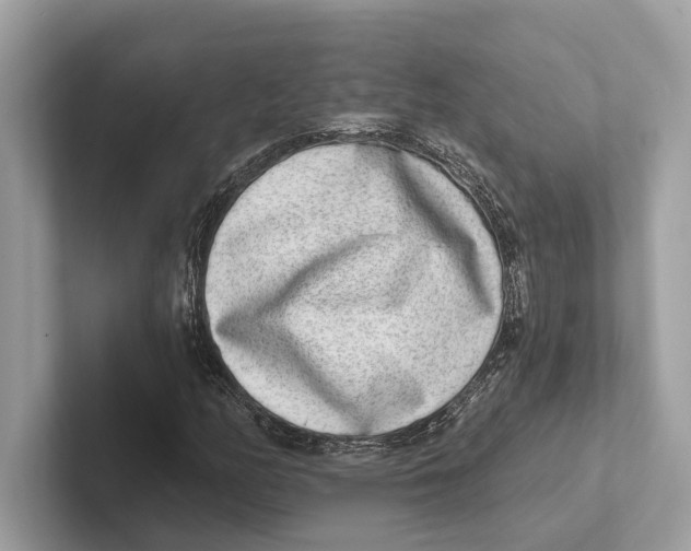 X0000100911158200807220944