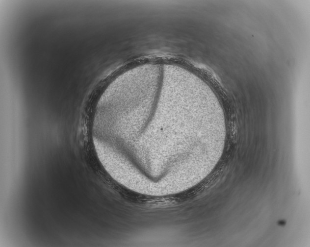 X0000100911159200807220944