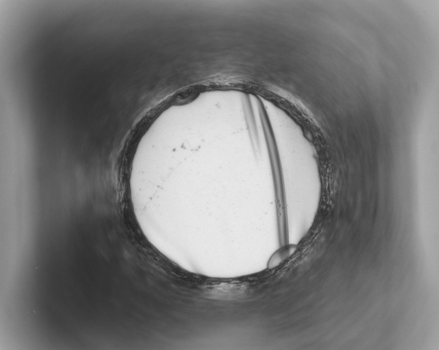 X0000100911160200807220944