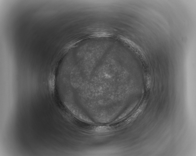 X0000100911161200807220944