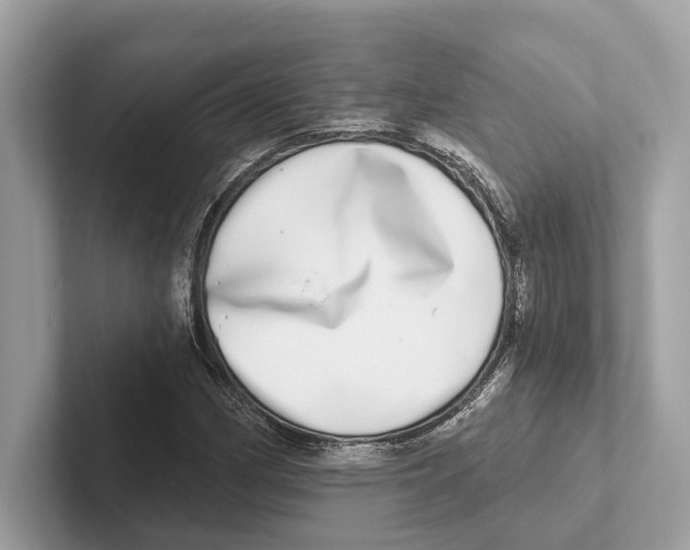 X0000100911162200807220944