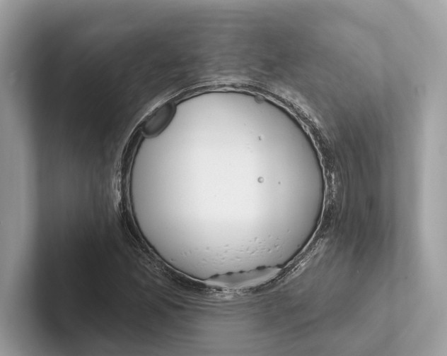 X0000100911165200807220944