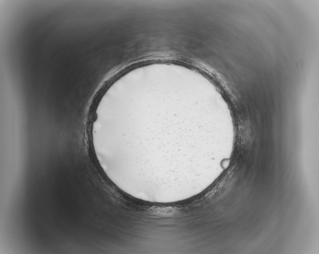 X0000100911168200807220944