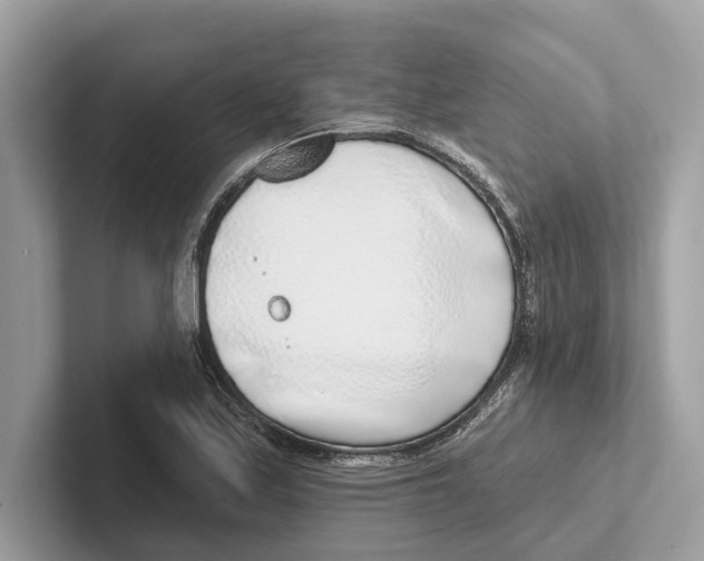 X0000100911171200807220944