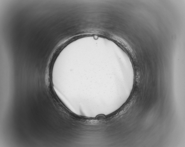 X0000100911172200807220944