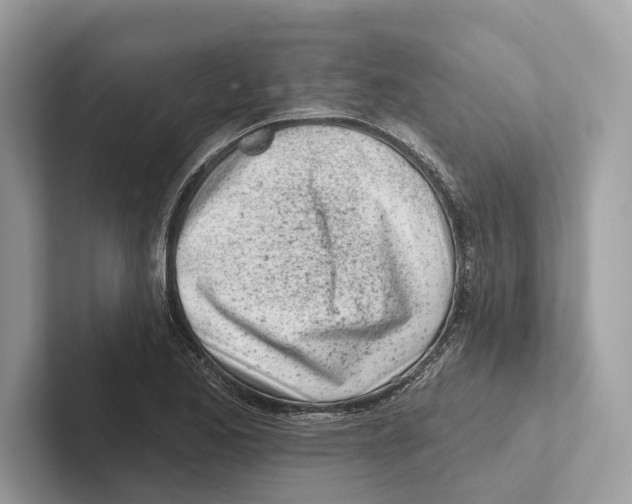 X0000100911173200807220944