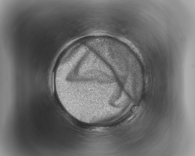 X0000100911175200807220944