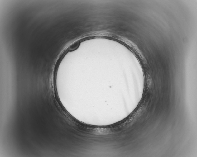 X0000100911176200807220944