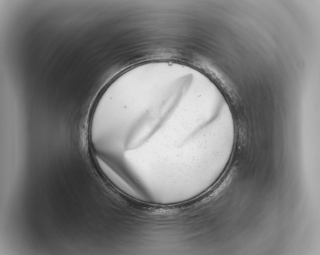 X0000100911178200807220944