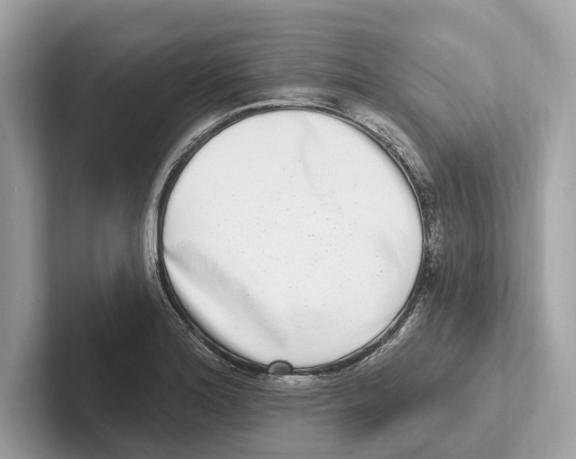 X0000100911180200807220944