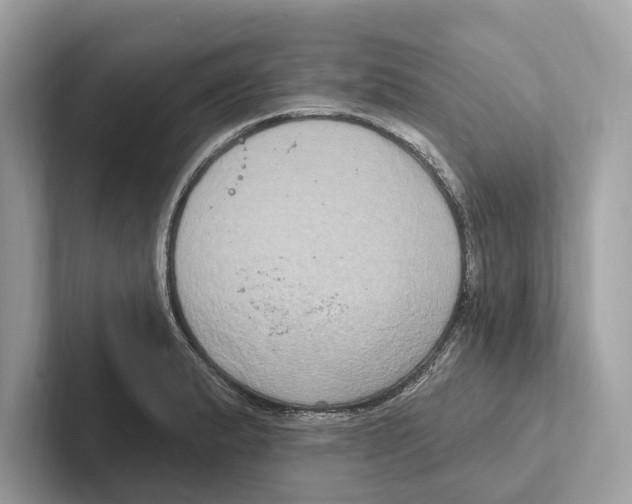 X0000100911183200807220944