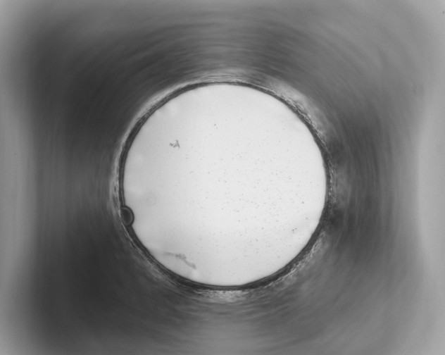 X0000100911184200807220944