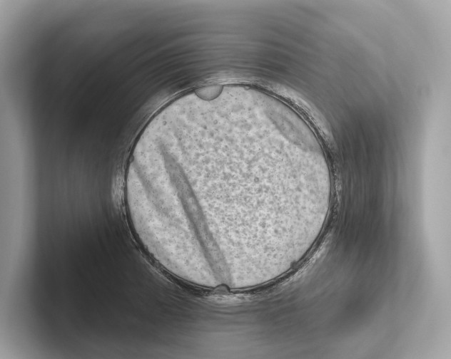 X0000100911185200807220944