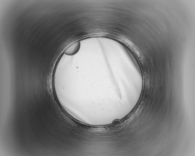 X0000100911186200807220944