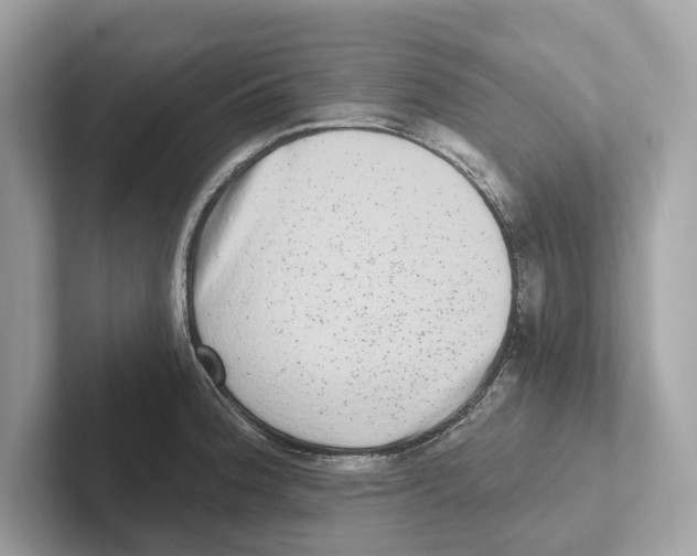 X0000100911188200807220944