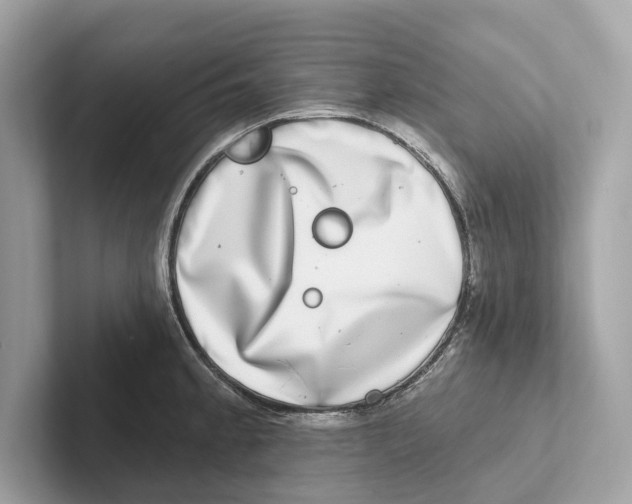 X0000100911189200807220944