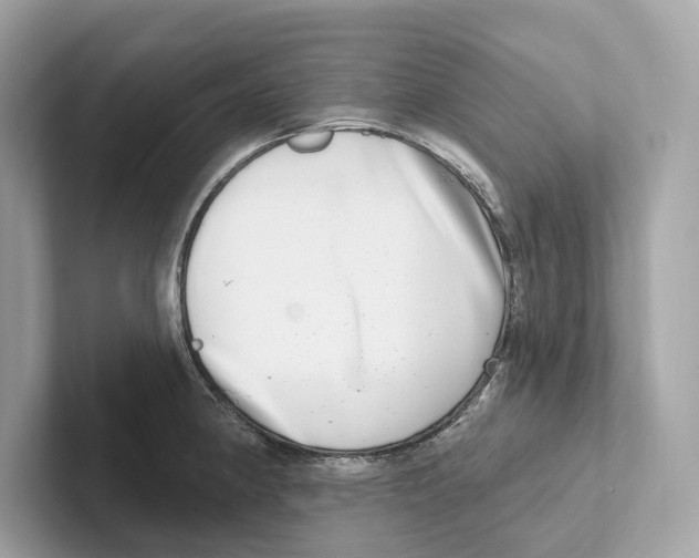 X0000100911190200807220944