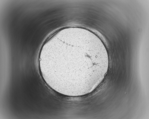 X0000100911191200807220944