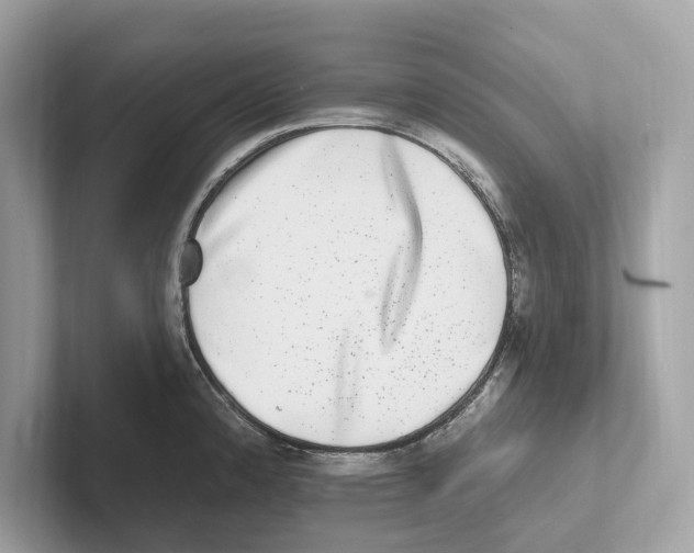 X0000100911192200807220944