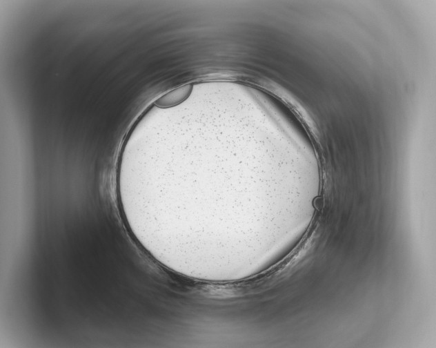 X0000100911194200807220944