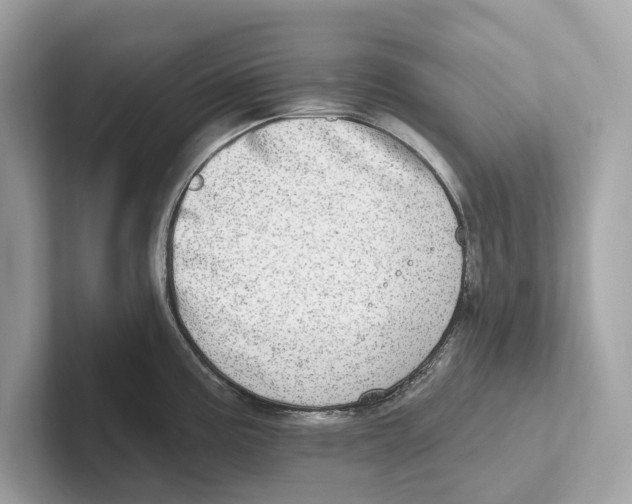 X0000100911195200807220944