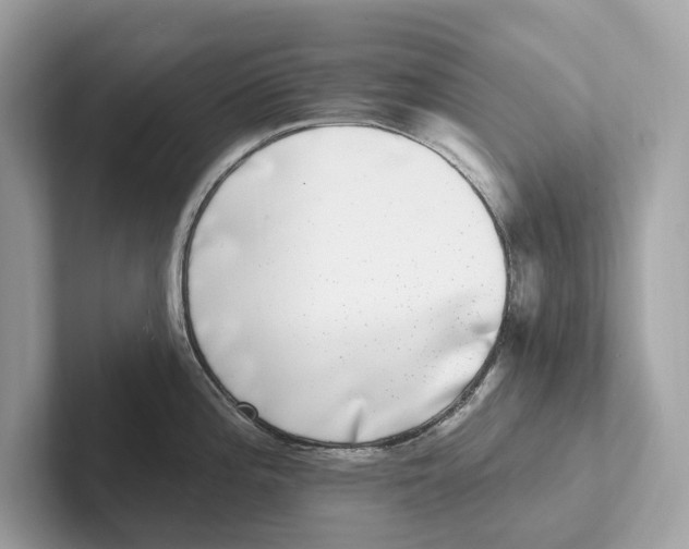 X0000100911196200807220944