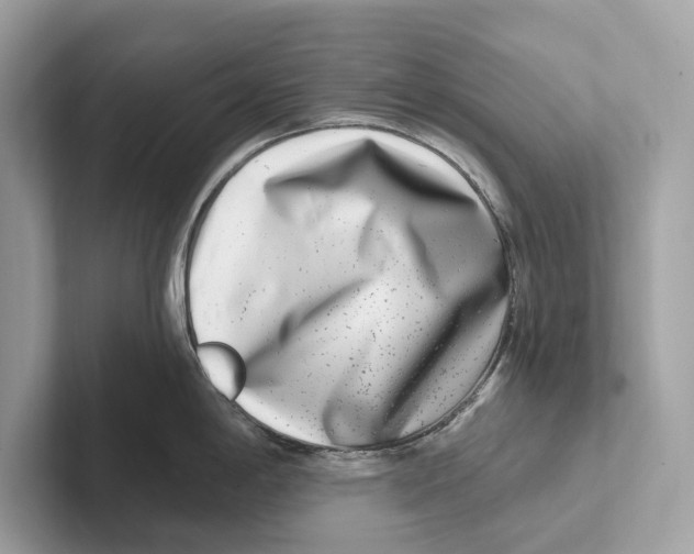 X0000100911198200807220944