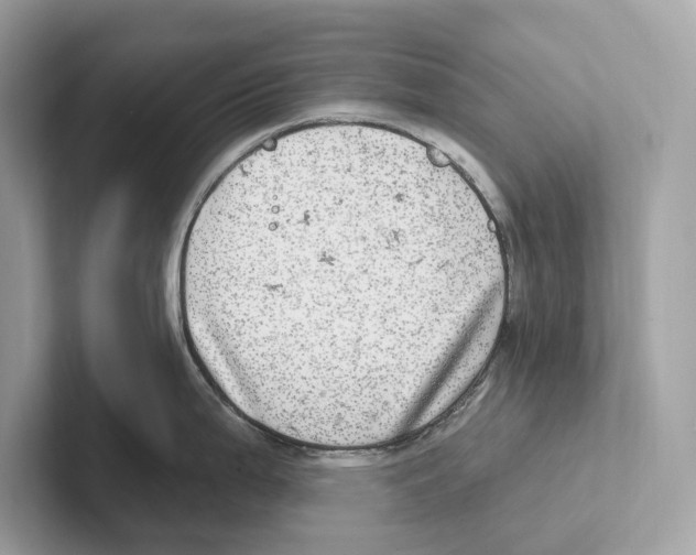 X0000100911199200807220944