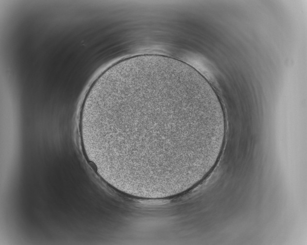 X0000100911200200807220944