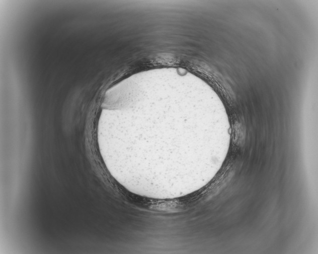 X0000100911201200807220943