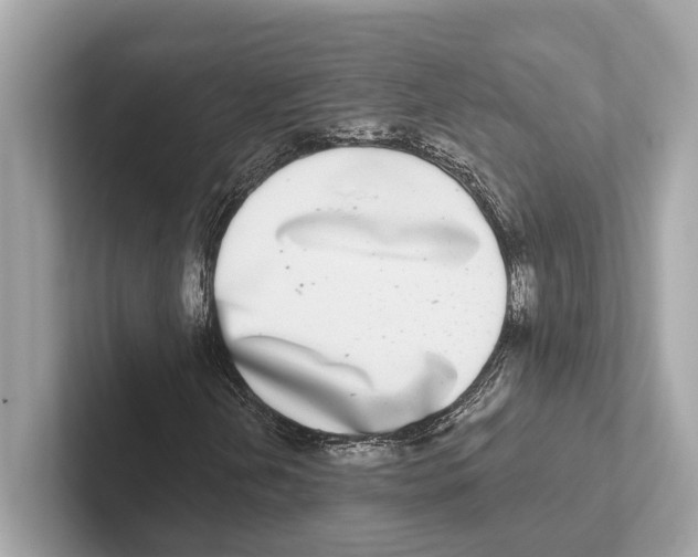 X0000100911202200807220943