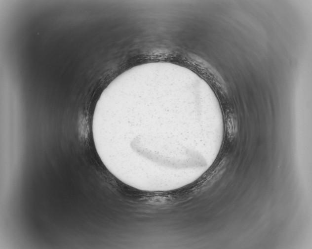 X0000100911204200807220943