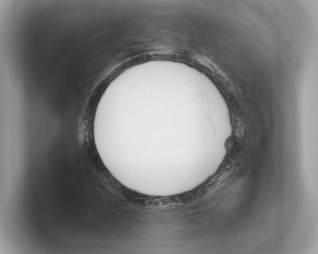 X0000100911208200807220943