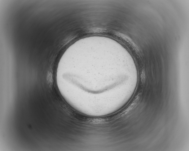 X0000100911209200807220943