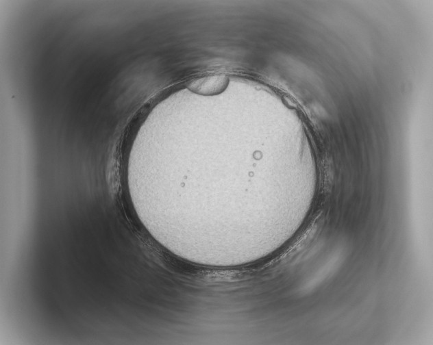 X0000100911211200807220943