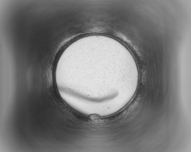 X0000100911214200807220943