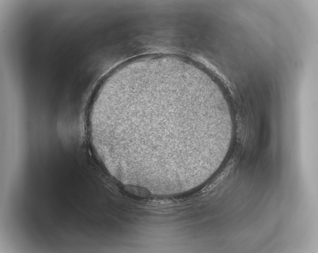 X0000100911215200807220943