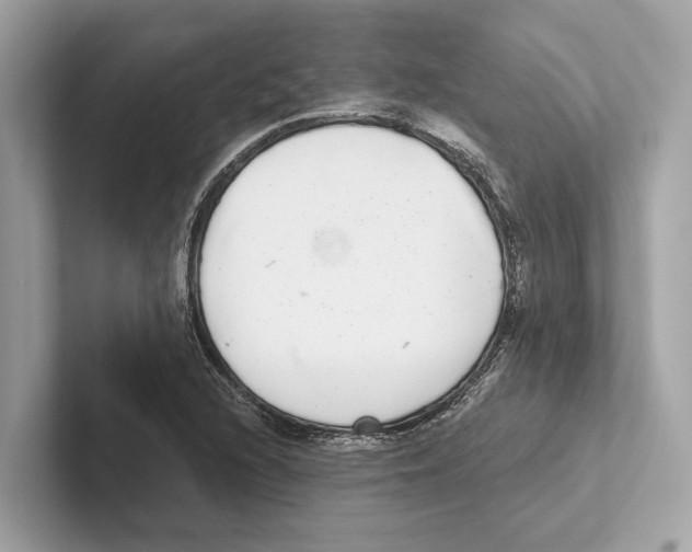 X0000100911216200807220943