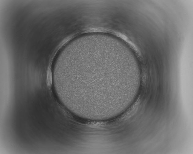 X0000100911221200807220944