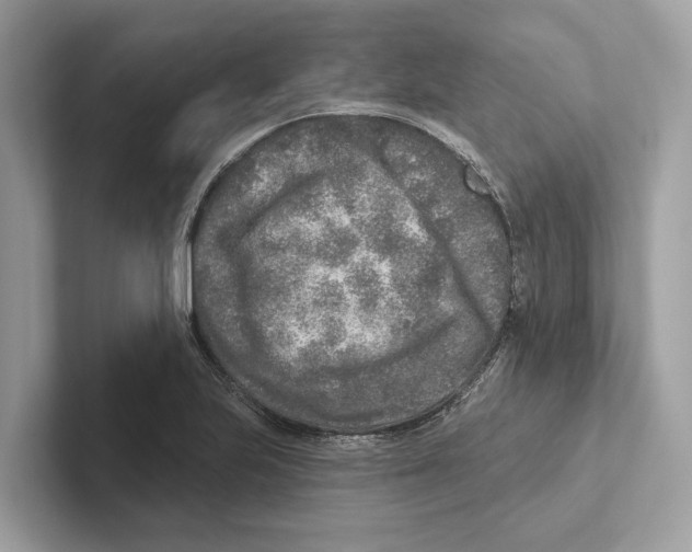 X0000100911223200807220944