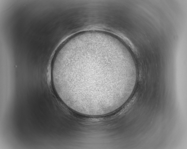 X0000100911224200807220944