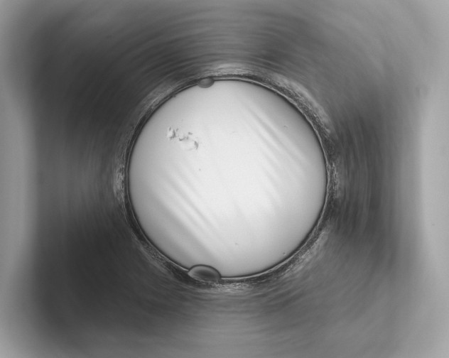 X0000100911225200807220944