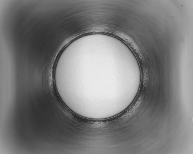 X0000100911226200807220944