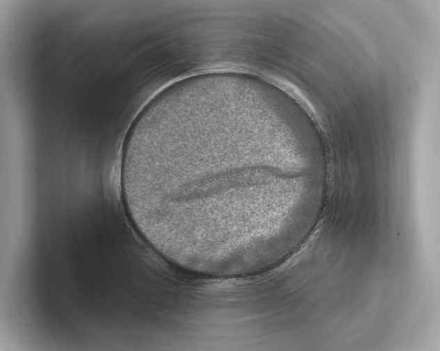 X0000100911228200807220944