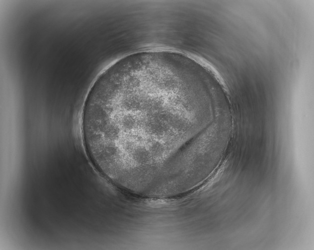 X0000100911231200807220944