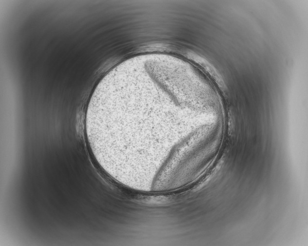 X0000100911233200807220944